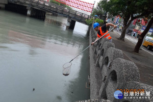 守護河川環境　基市環保局清理河面垃圾