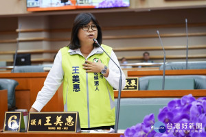 民進黨立法委員參選人王美惠針對有關「大南方計畫」等建設說明