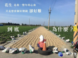 雲林花生之亂農民罵翻中央　民進黨剪不斷理更亂？