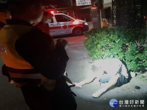 男子不勝酒力酒醉路旁躺臥　暖警協助護送返家（圖／嘉義市政府警察局提供）