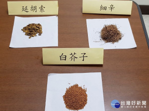 在背部的重要俞位貼上以白芥子、細辛、延胡索等偏溫性藥材研磨成藥粉的藥泥敷貼，使藥物經由皮膚刺激穴位經絡，以達到溫通經絡、溫陽行氣的效果