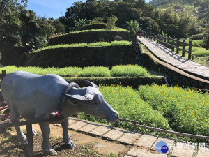 魯冰與牛（圖／台北市大地處提供）