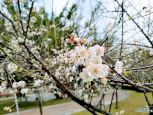 （圖／北市府工務局公園路燈工程管理處）