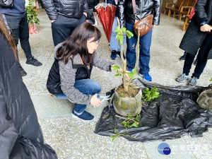 改善空氣品質　基市推廣校園裸露地綠美化