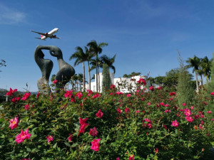 （圖／台北市府工務局公園路燈工程管理處）