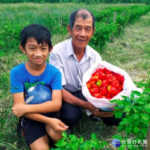 在地小農種植無農藥辣椒，採收新鮮鬼椒製作辣椒醬。從產品的源頭進行食材的把關，消費者食用起來也會安心許多。