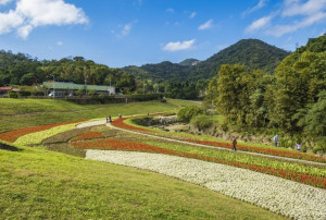 （圖／北市政府工務局水利工程處）