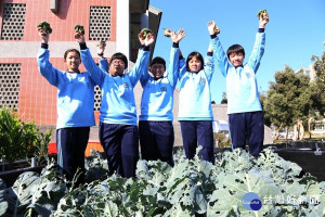 嘉義縣布袋國中學生在校園栽種各類無毒蔬菜