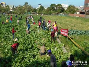 烏日農會將辦農田休閒活動。林重鎣攝