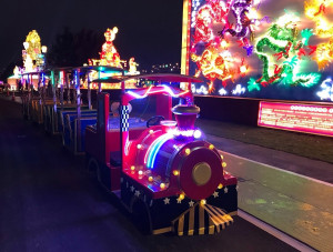 新北大都會公園，搭乘小火車賞遊花燈是全台首創第一個於燈會展示園區內可賞遊花燈的小火車