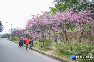 董事長林正峰歡迎信眾們，大家一起在2月8日到壽山巖觀音寺「白天賞櫻花、晚上慶元宵摸大獎」。

