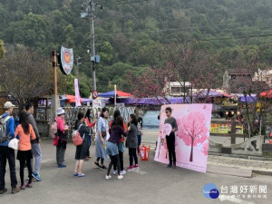 
109年后里泰安櫻花季觀光活動登場，遊客白天賞櫻花、遊景點享美食，晚上看台灣燈會，打卡分享親友，享受幸福浪漫的一天。（記者陳榮昌攝）

