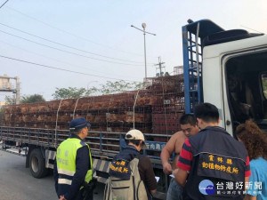 雲縣落實運禽車輛檢疫　提升居家環境衛生（圖／雲林縣政府提供）