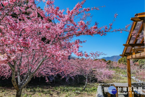 福壽山農場