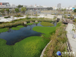 台中市帝國糖廠湖濱公園星泉湖