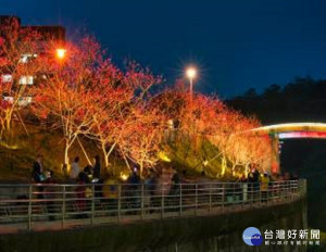 八重櫻櫻花林 （圖／台北市公園處）