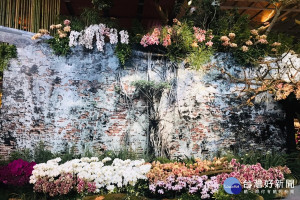 台灣蘭展延期舉辦。