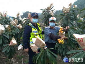 警方巡邏枇杷園。林重鎣攝