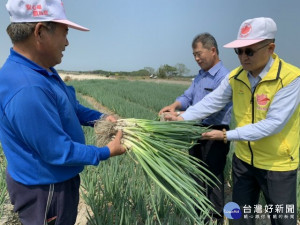 

大安區農會總幹事蔡建宗會同推廣股主任邵格盛，在春耕後展開勘查生產歷種植，蔥農黃益清說明青蔥種植程系，全符合規定，消費者可安全購食。（記者陳榮昌攝）