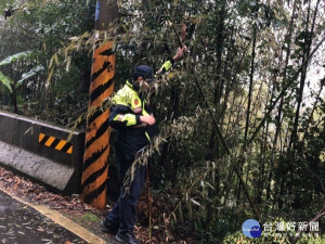 苗124線39.8K竹林倒塌　警挽袖清除確保用路人安全（圖／頭份分局）