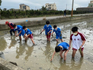 
大甲區農會昨日承辦藺草種植活動，二十五位西岐國小學生下田插植藺草苗，期再挽回大甲草蓆帽往昔風華。（記者陳榮昌攝）

