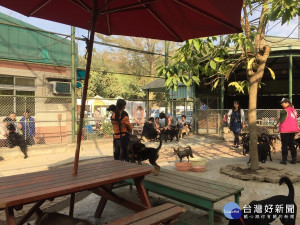 參訪民眾前往動物之家與狗狗互動。