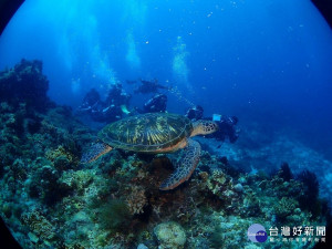 配合防疫不出國　來小琉球享受渡假風（圖／屏東縣政府）