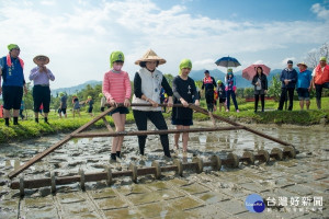 縣長林姿妙與東興國小學子，下田體驗「牽輪仔」。（圖／宜蘭縣政府提供）