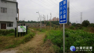 楊梅區公所偕同桃園市議會及桃園市政府水務局修整第六公墓人行步道。