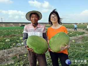 嘉義市旅館公會到鹿草購買西瓜，送給第一線的醫護人員。（右為公會理事長李素珍）／市府提供