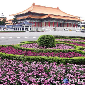 愛國西路口安全島雙色五彩石竹（圖／台北市公園處）