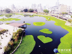 會呼吸的湖泊　中市星泉湖「雙心水草」再掀搶拍風潮（圖／台中市政府）