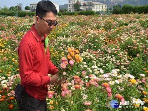 
中社觀光花市擁有八公頃農地，空氣新鮮，琳瑯滿目花卉讓你看個飽，花市為歡迎賞花遊客，辦有優來就送方案，亦是防疫舒緩心情最佳場所。（記者陳榮昌攝）
