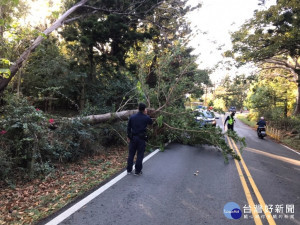 路樹傾倒路中　恆警迅速排除（圖／恆春分局提供）