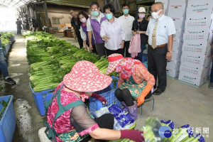 彰化縣長王惠美參訪芳苑西青苑洋芹農場。
