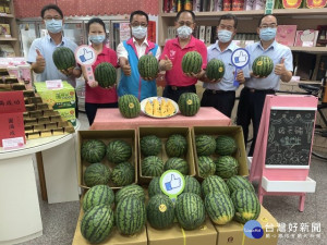 
龍井區極出名有產銷履歷的黑翅鳶小玉西瓜盛產，大安區農會力挺促銷，一口氣就被民眾購買二千多斤。（記者陳榮昌攝）
