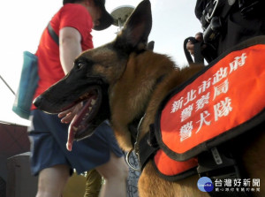 《K9 Canine》記錄新北市警犬隊從幼犬出生開始到訓練成為警犬的完整過程與警犬領犬員面對訓練挫折的心路歷程