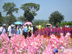 

后里中社觀光花市舉辦劍蘭新花色活動，吸引眾多各地而來的花農參觀26種白、粉、桃紅、紫藍等色劍蘭，希望以活動推銷，能再重現后里唐菖蒲早期的風采與價值。（記者陳榮昌攝）