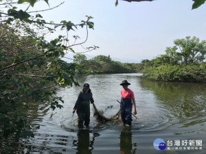 台東太平溪人工濕地發現棄置魚網　環保局將加強巡守取締