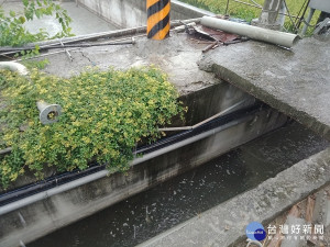 違規業者原水池旁排水溝發現異常排水／嘉義縣府提供