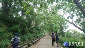 中市推賞花美食之旅　邀民眾探索繽紛美景（圖／台中市政府）