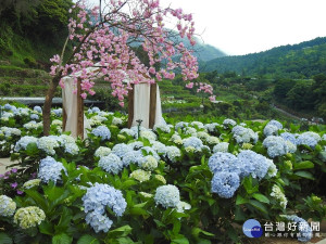 大梯田（圖／台北市產業發展局提供）