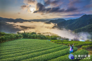 109年新北好茶春季文山包種茶比賽茶5月24日已飄香上市！6月1日起至6月21日止，來坪林消費滿額送限量好禮