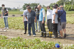 視察梓官雨後農損　韓國瑜：與農民站一起