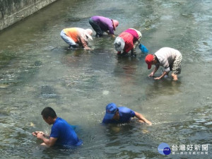 

外埔區大甲溪畔生態空間，山林及建設之景色優麗猶如仙境。國內少見的水美溪圳清澈流水，生長著豐富的「蜆」類，經常出現遊客人潮檢拾蜆鏡頭。（記者陳榮昌攝）