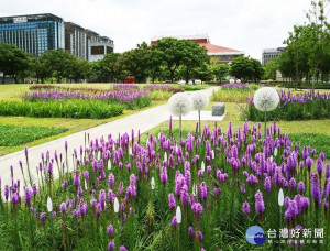 換上新裝的台北行旅廣場（圖／台北市公園處提供）