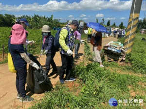 守護生態平衡 中市示範拔除500公斤外來植物