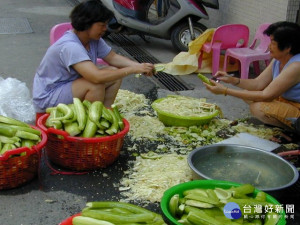 
大甲區近來有些婦女在一起切越瓜，開始醃製古傳風味的「鹽瓜仔」，鹽瓜仔這種獨特的香味，是製做佳餚主要材料之一。（記者陳榮昌攝）
  

