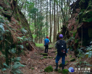 南投縣信義神木到阿里山祝山車站的神阿古道美景天成。（原民局提供）