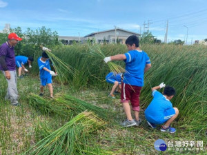 

四十位大甲西岐國小學生在農民的教導下，在田間收割藺草，因小朋友初嚐固中滋味，一面割、一面笑，田野傳出一股濃厚的天真無邪的笑聲。（記者陳榮昌攝）